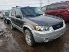 2005 FORD  ESCAPE