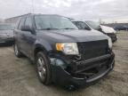 2008 FORD  ESCAPE