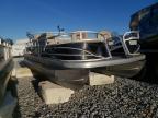 Boat Lot number 30755102 SUNT, 2019