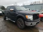 2010 FORD  F-150