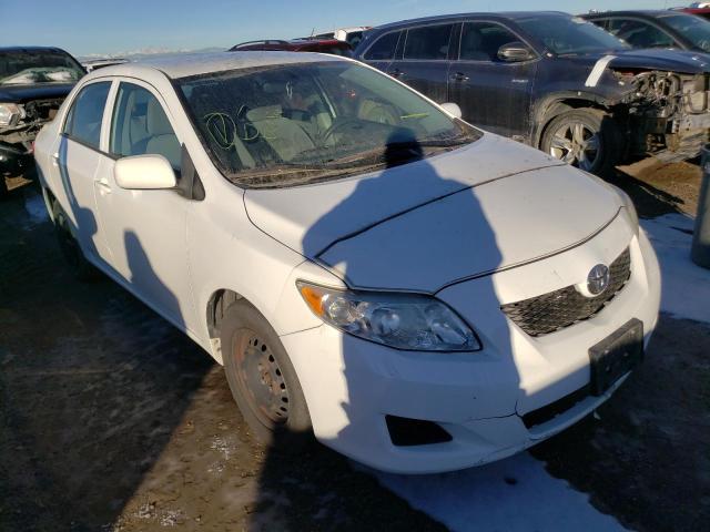 Salvage cars for sale from Copart Brighton, CO: 2010 Toyota Corolla BA