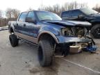 2004 FORD  F-150