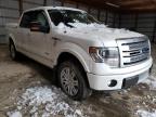 2013 FORD  F-150