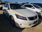 2008 HONDA  ACCORD