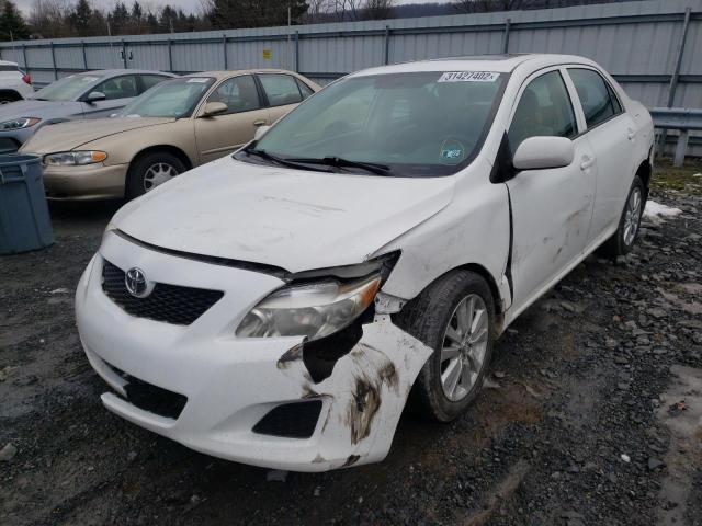 2010 TOYOTA COROLLA BA 2T1BU4EE7AC246351