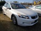 2010 HONDA  ACCORD