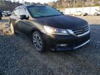 2013 HONDA  ACCORD