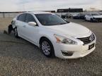 2013 NISSAN  ALTIMA