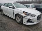 2019 HYUNDAI  SONATA