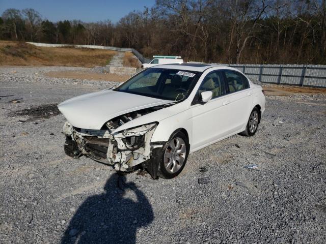 2010 HONDA ACCORD EXL 1HGCP2F81AA066894