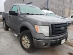 2009 FORD  F150