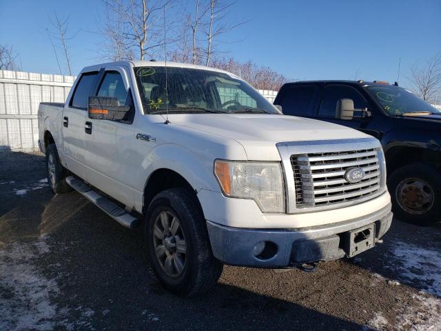Salvage cars for sale from Copart Ontario Auction, ON: 2010 Ford F150 Super
