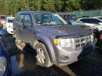 2008 FORD  ESCAPE