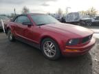 2005 FORD  MUSTANG