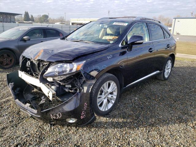 2010 LEXUS RX 450 JTJBC1BA7A2030532