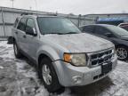 2008 FORD  ESCAPE