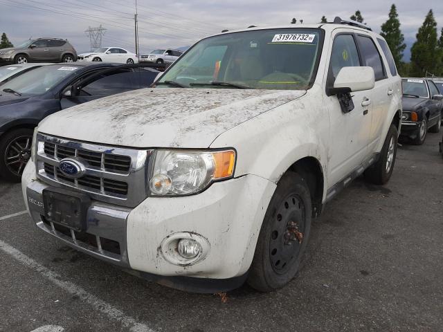 2010 FORD ESCAPE LIM 1FMCU0EG3AKD00897