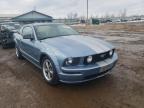 2005 FORD  MUSTANG