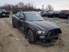 2013 DODGE  CHARGER