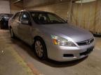 2006 HONDA  ACCORD