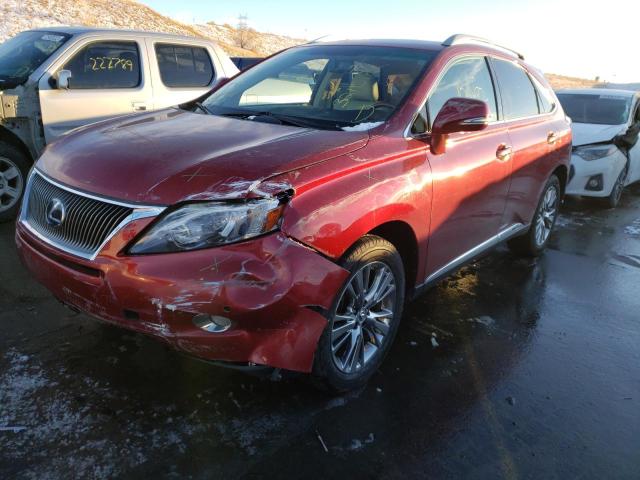 2010 LEXUS RX 450 JTJBC1BAXA2015703