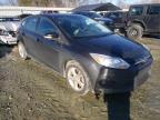 2013 FORD  FOCUS