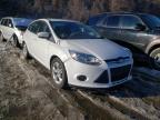 2013 FORD  FOCUS