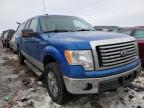 2010 FORD  F-150