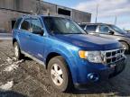 2008 FORD  ESCAPE