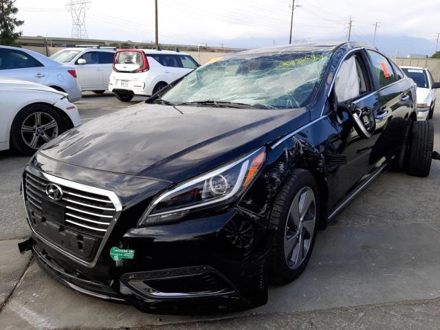 2016 HYUNDAI SONATA PLU KMHE54L23GA031710