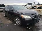 2009 TOYOTA  CAMRY