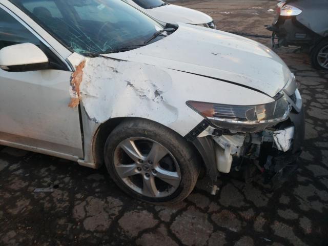 2010 ACURA TSX JH4CU2F68AC022061