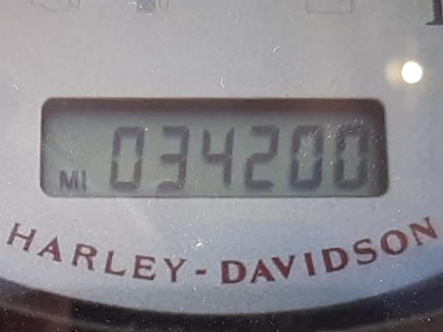 2009 HARLEY-DAVIDSON FXDF 1HD1GY4199K303554
