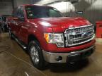 2014 FORD  F-150