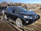 2013 LEXUS  RX350