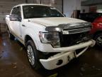 2013 FORD  F-150