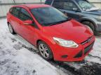 2013 FORD  FOCUS