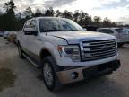 2013 FORD  F-150