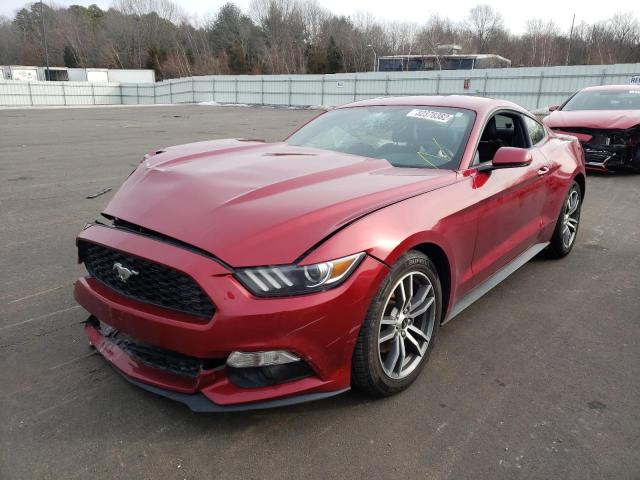1FA6P8TH8F5343873 Ford Mustang 2015. Фото: 1