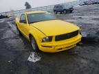 2005 FORD  MUSTANG