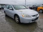 2005 HONDA  ACCORD