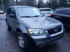 2005 FORD  ESCAPE