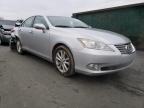 2010 LEXUS  ES350