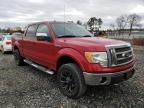 2009 FORD  F-150