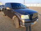 2004 FORD  F-150