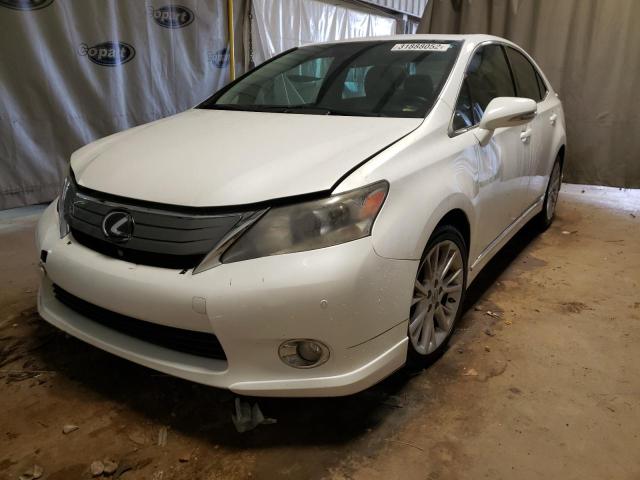 2010 LEXUS HS 250H JTHBB1BA8A2016272