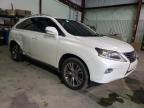 2013 LEXUS  RX350