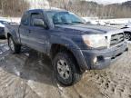 2006 TOYOTA  TACOMA