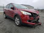 2013 FORD  ESCAPE