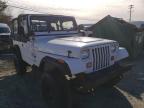 1995 JEEP  WRANGLER